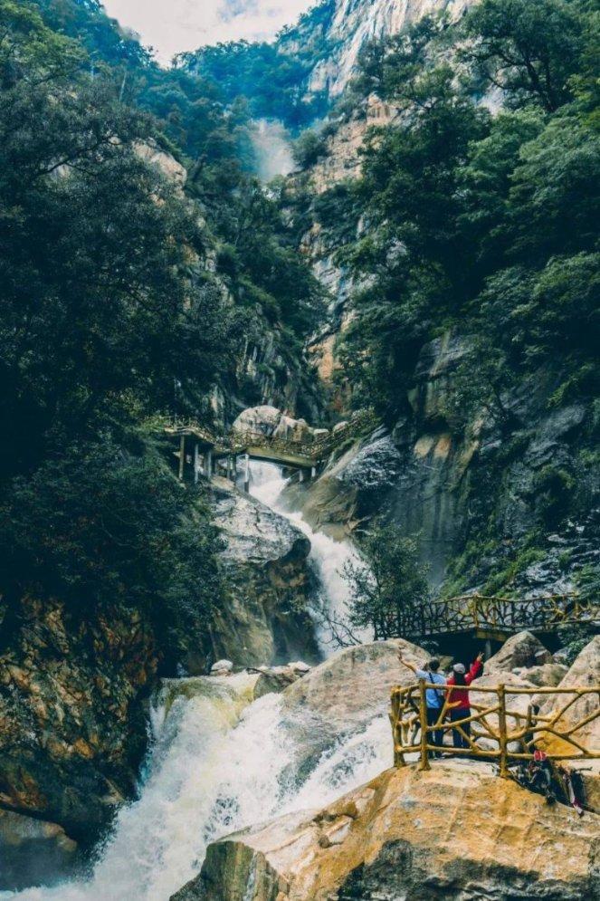 饿狮救援